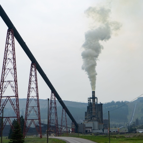 SRampED application review for environmental sector